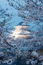 云开·全站appkaiyun官网-云开·全站appkaiyun官网，解锁数字娱乐新体验